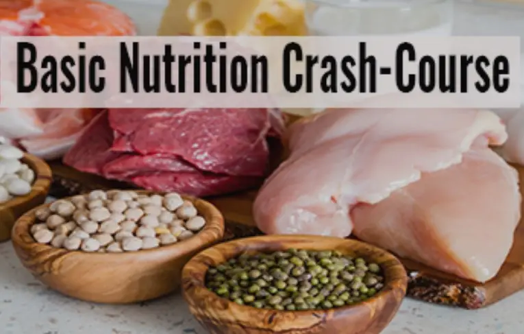 BASIC NUTRITION CRASH-COURSE