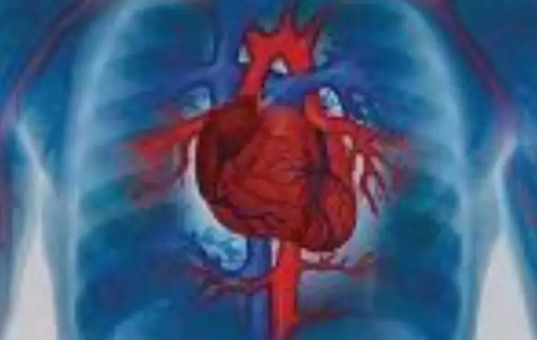 CARDIOVASCULAR EXERCISE, PART 4