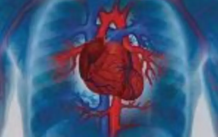 THE FITNESS LIFESTYLE, PART 34