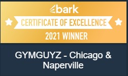 Gym Guyz Chicago and Naperville Certificate of Excellence