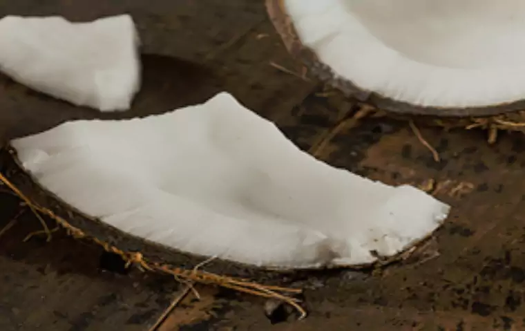 4 BENEFITS OF COOKING WITH COCONUT
